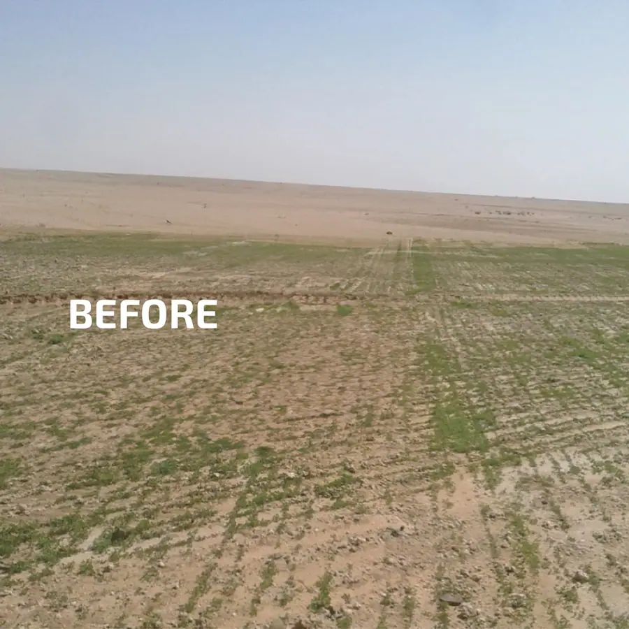 Sparse field before the fertilizer programme