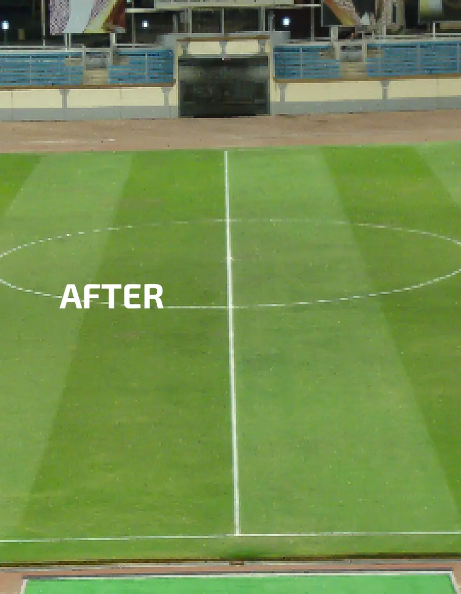 The same ground carrying a dense green crop after treatment